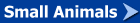 Small Animals