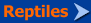 Reptiles