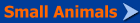 Small Animals